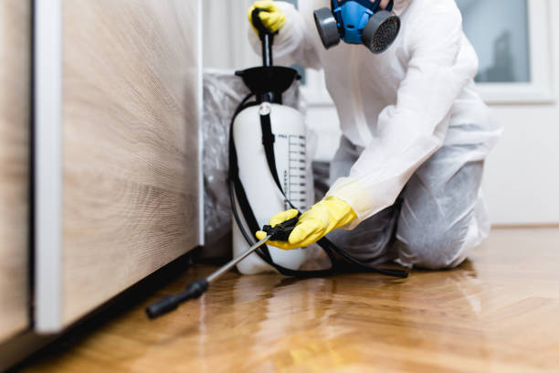 Best Exterminator Services  in Hayfield, MN