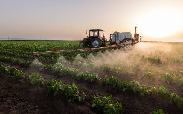 Best Pest Prevention Services  in Hayfield, MN