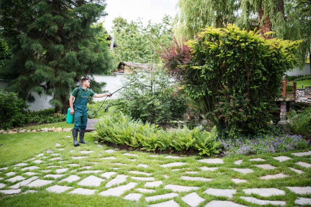 Best Best Pest Control Companies  in Hayfield, MN