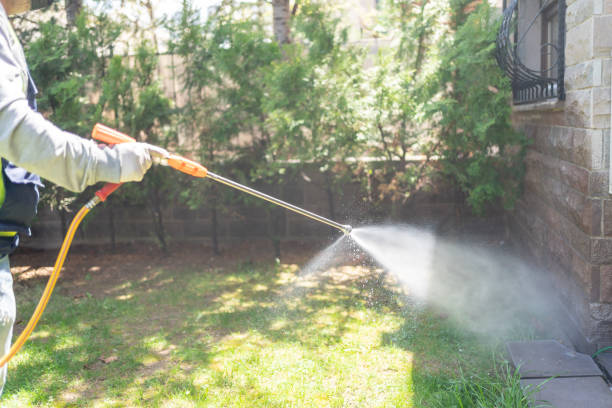 Best Affordable Pest Control Services  in Hayfield, MN