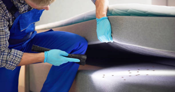 Best Flea Control Services  in Hayfield, MN