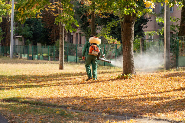 Trusted Hayfield, MN Pest Control Experts