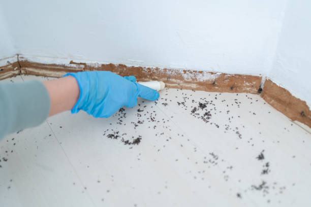 Best Pest Inspection Near Me  in Hayfield, MN