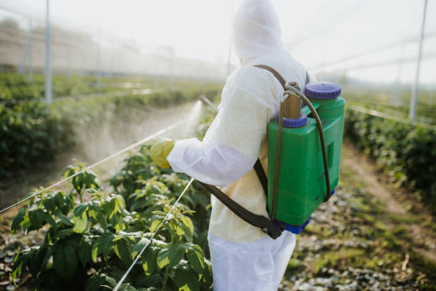 Best Best Pest Control Companies  in Hayfield, MN